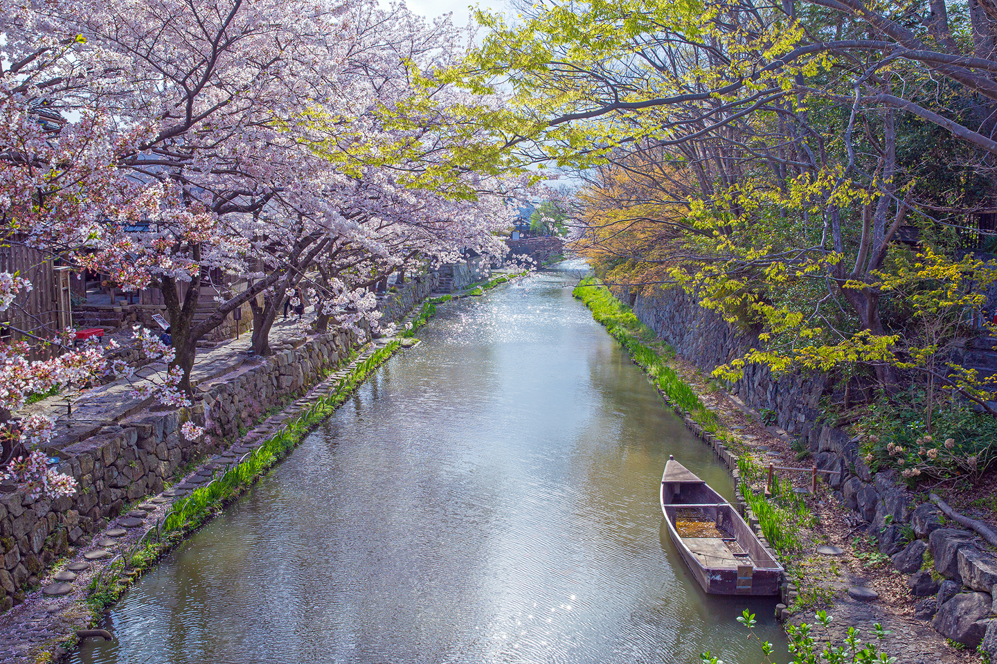 滋賀県近江八幡市の不動産コンサルティング